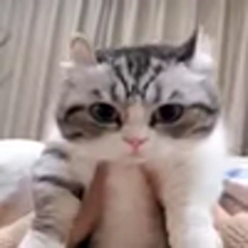 🥺 Эмодзи «big eyes» для Telegram