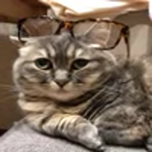 🥺 Эмодзи «big eyes» для Telegram