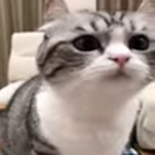 🥺 Эмодзи «big eyes» для Telegram