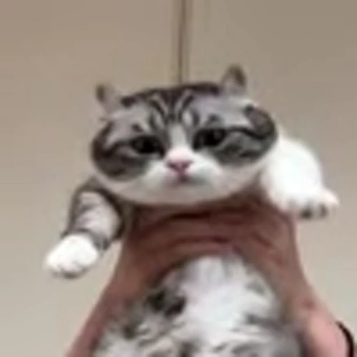 🥺 Эмодзи «big eyes» для Telegram