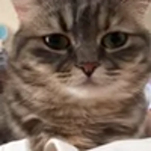 🥺 Эмодзи «big eyes» для Telegram