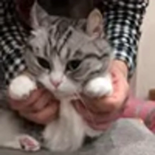 🥺 Эмодзи «big eyes» для Telegram