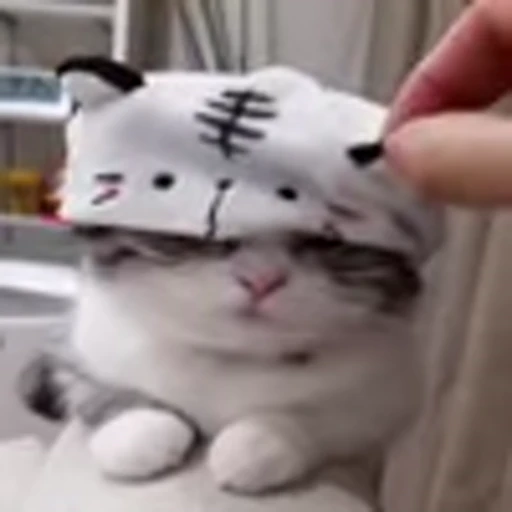 🥰 Эмодзи «big eyes» для Telegram