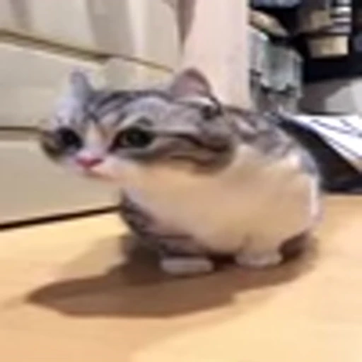 🥺 Эмодзи «big eyes» для Telegram