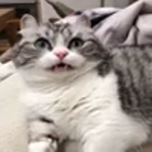 😾 Эмодзи «big eyes» для Telegram