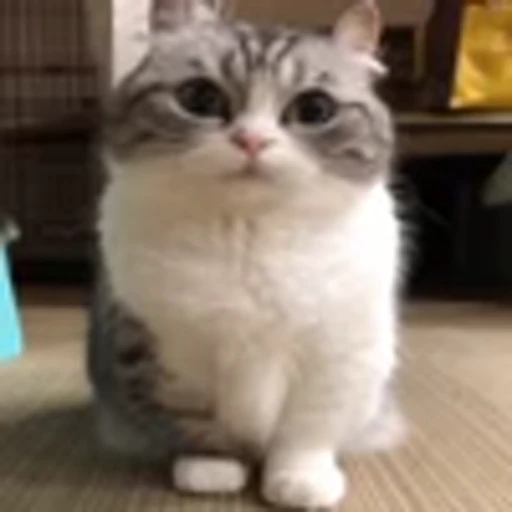 🥺 Эмодзи «big eyes» для Telegram