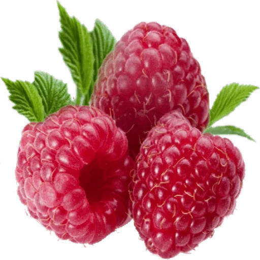 🍓 Стикер «Struggles» для Telegram
