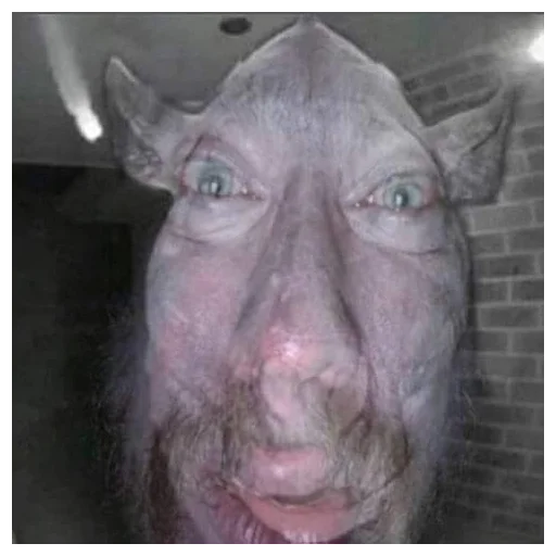 👺 Стикер «большая свинячья ферма» для Telegram