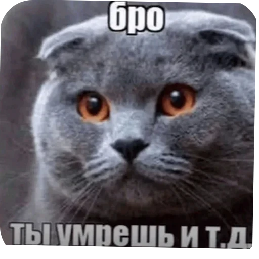 🐱 Стикер «tt art» для Telegram