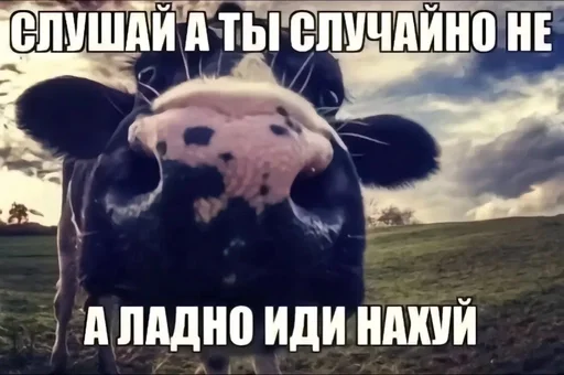 🌟 Стикер «tt art» для Telegram