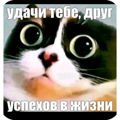 🖼 Стикер «tt art» для Telegram