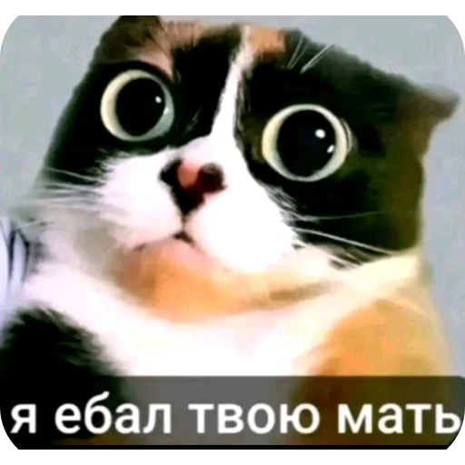 🖼 Стикер «tt art» для Telegram