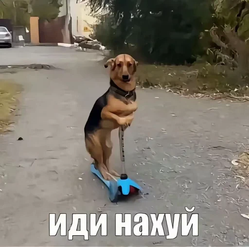 🌟 Стикер «tt art» для Telegram