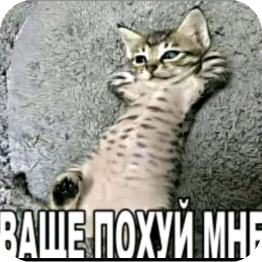 🖼 Стикер «tt art» для Telegram