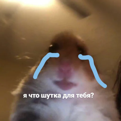 😢 Стикер «даров обрыган» для Telegram