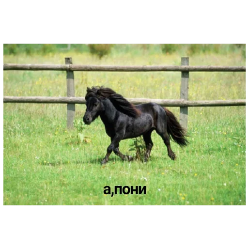 👌 Стикер «даров обрыган» для Telegram