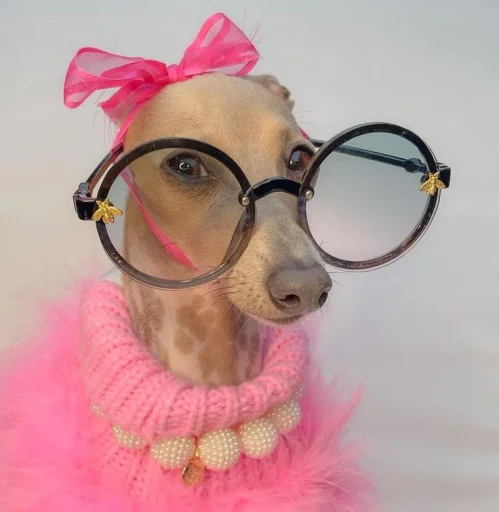 💝 Стикер «BIMBO ANIMALS» для Telegram