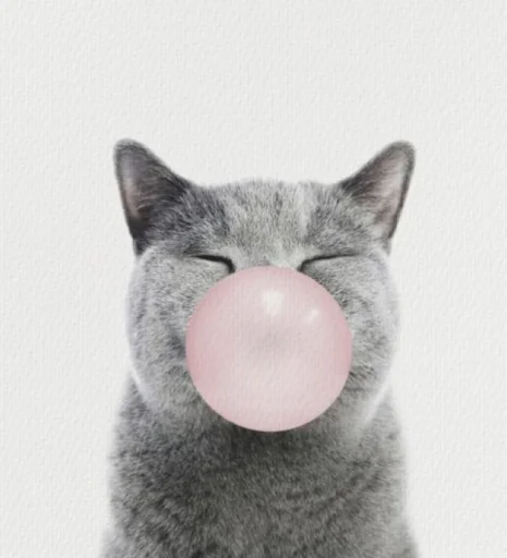 💝 Стикер «BIMBO ANIMALS» для Telegram