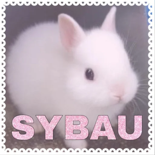 💝 Стикер «BIMBO ANIMALS» для Telegram