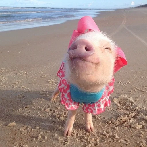 💝 Стикер «BIMBO ANIMALS» для Telegram