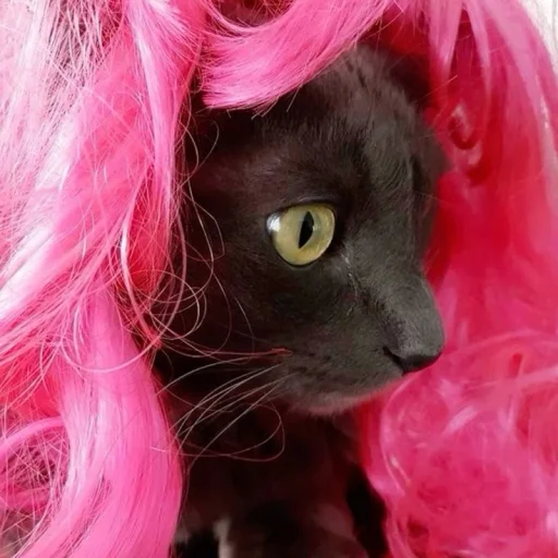 💝 Стикер «BIMBO ANIMALS» для Telegram