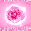 Стикер 5 bimbo pack