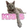 Стикер 42 Bimbo Renaissance