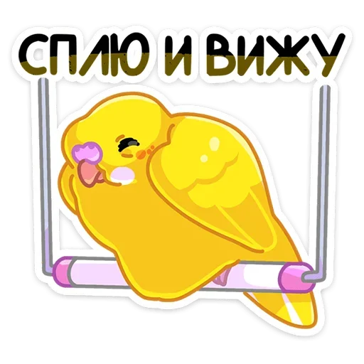 😴 Стикер «Попуги» для Telegram