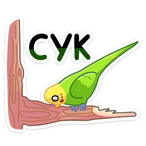 🌳 Стикер «Попуги» для Telegram