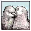 Стикер 6 Birds