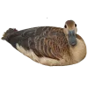 Стикер 35 Birds