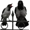 Стикер 34 Birds