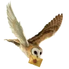 Стикер 12 Birds