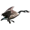 Стикер 31 Birds