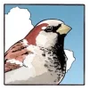 Стикер 4 Birds