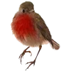 Стикер 10 Birds