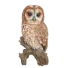 Стикер 11 Birds