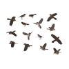 Стикер 45 Birds