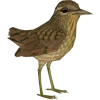 Стикер 42 Birds