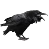 Стикер 27 Birds