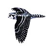 Стикер 12 Птицы
