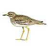 Стикер 33 Птицы