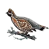 Стикер 30 Птицы