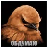 Стикер 11 Птицы мем