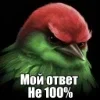 Стикер 50 Птицы мем