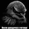 Стикер 37 Птицы мем