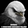 Стикер 12 Птицы мем