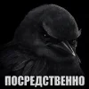 Стикер 16 Птицы мем