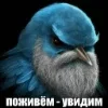 Стикер 20 Птицы мем