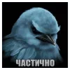 Стикер 5 Птицы мем